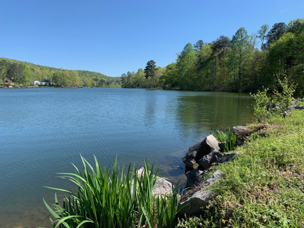 Anxiety can be conquered. Peaceful lake.