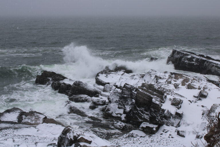 Maine snowy waves